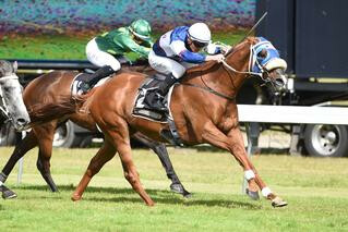 Seize The Moment (NZ) Goes One Better in Anniversary. Photo: Race Images, Palmerston North.